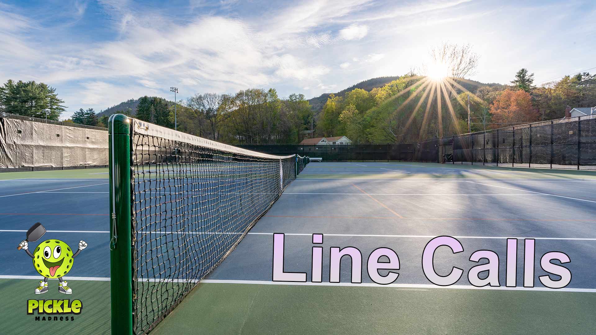 Pickleball Line Calls