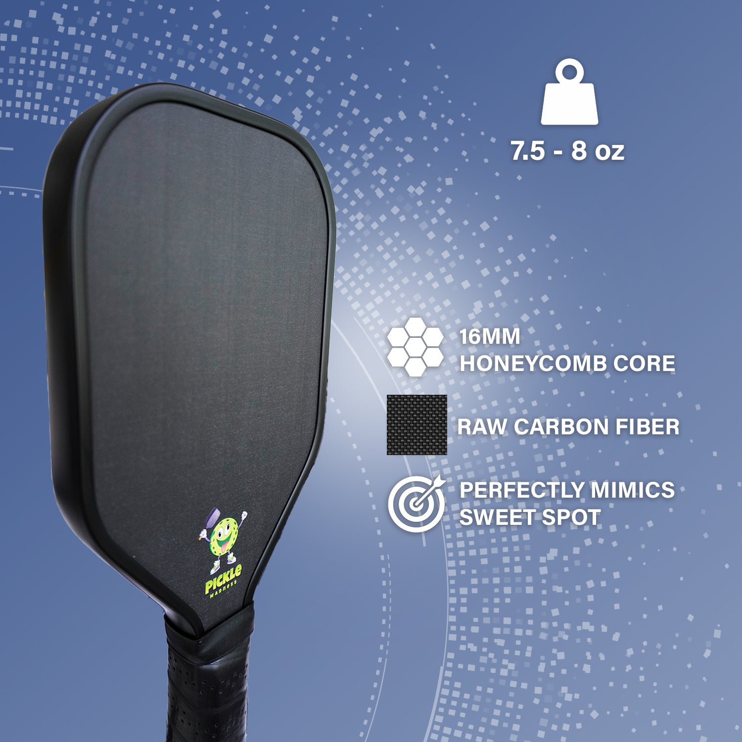 Pickle Madness Target Zone Training Paddle